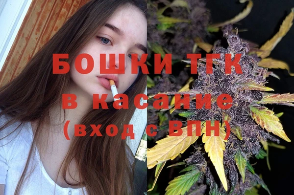 сатива Киреевск