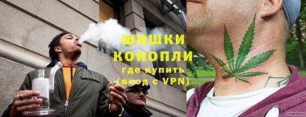 сатива Киреевск