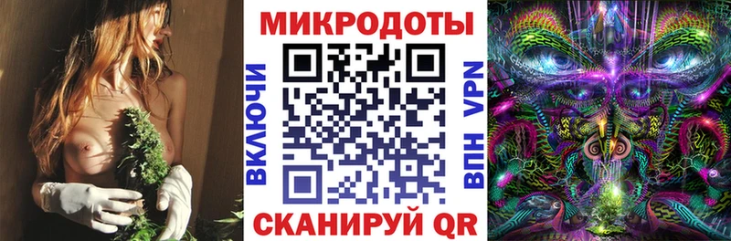 Псилоцибиновые грибы мицелий Клинцы