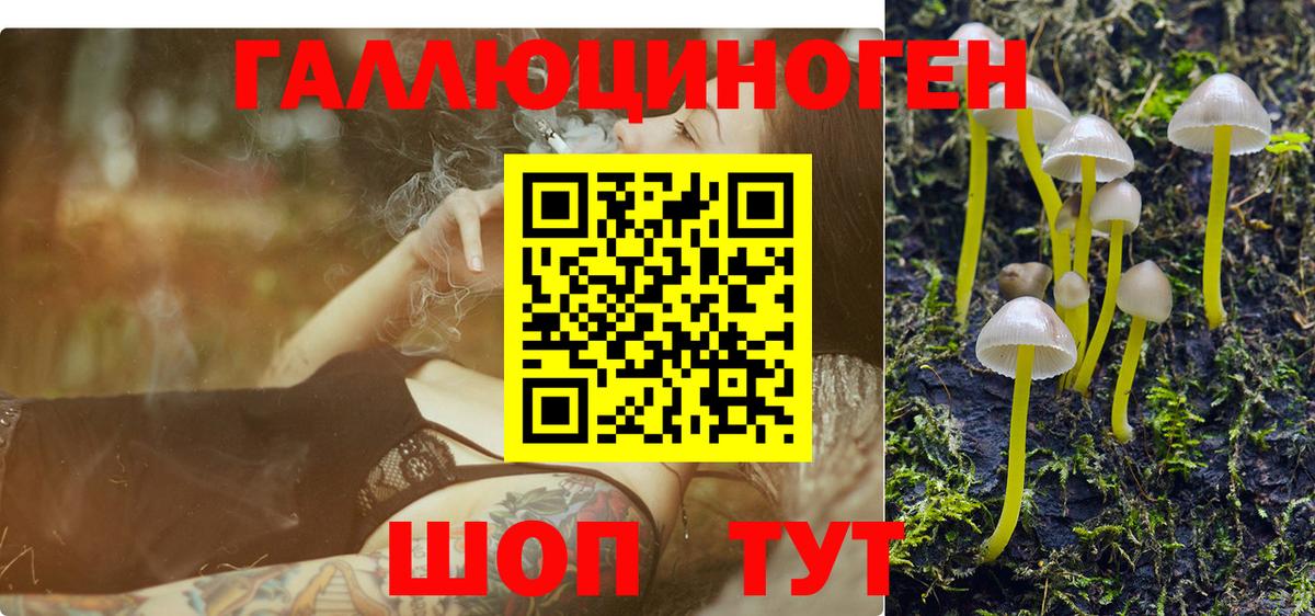 Клинцы  Псилоцибиновые грибы мицелий  Вход с VPN  где купить наркотик  Галлюциногенные грибы Psilocybe 